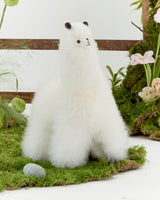 The Baby Alpaca